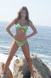 D'Milikah Swimwear Line Presents at 55th GRAMMY Awards Celebrity...